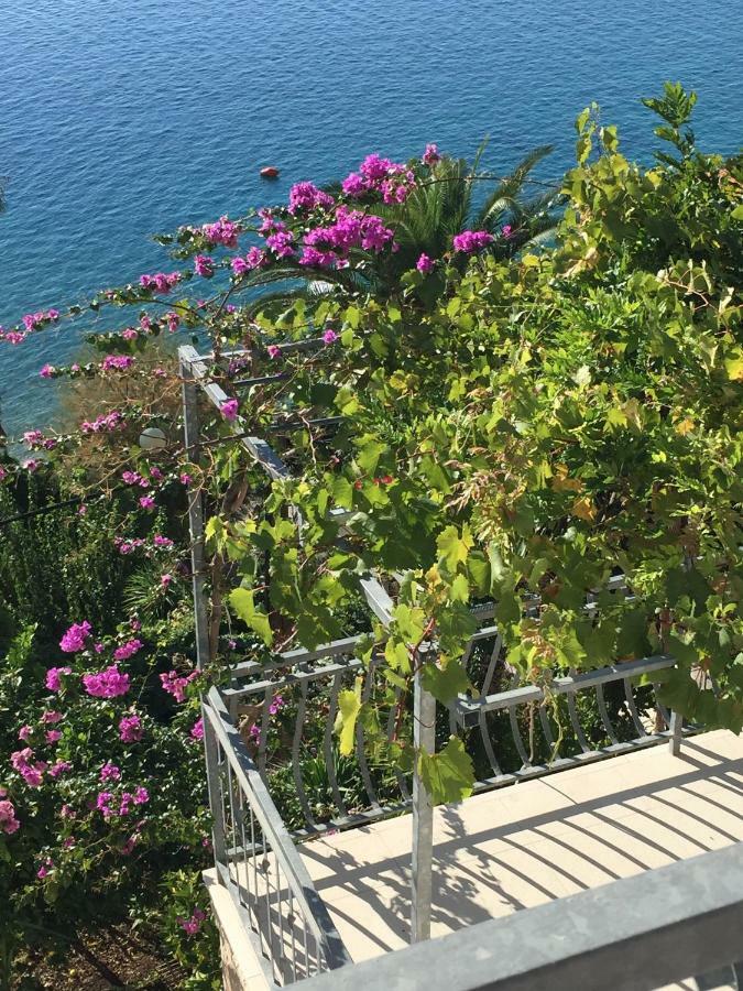 אומיס Beach Penthouse Diamond מראה חיצוני תמונה